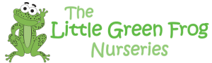 Little Green Frog Logo 2018v2