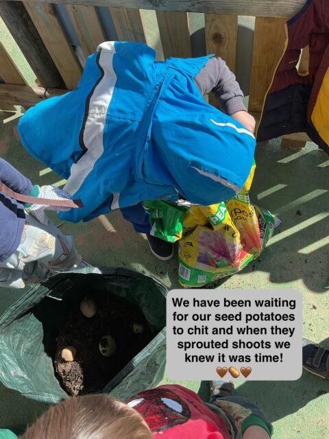 🥔⭐️It’s potato planting time!🤎⭐️
#otley #otleypreschool #otleybabies #otleytoddlers #otleynursery